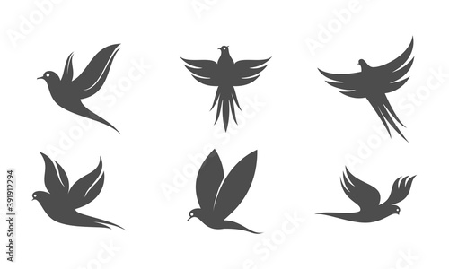 Bird set illustration vector design
