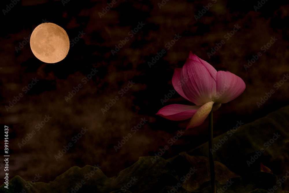 Φωτογραφία Close-up of the moon in the night sky and the lotus in the pond