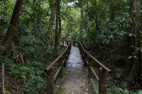 Nature trail in Khao Yai National Park 