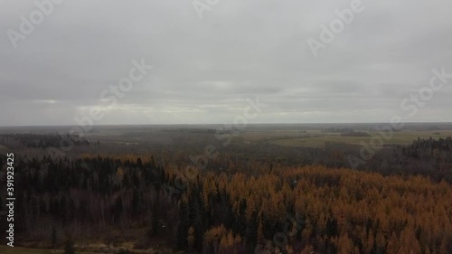 aerial fly over cottage country forest colors amber orange green grey gray trees on fall afternoon with fog settling in and flury snow coming down light at a 45 degree angle in rochester2-2 photo