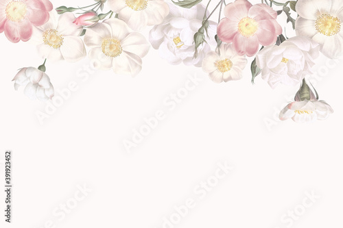 Pink Floral frames background photo