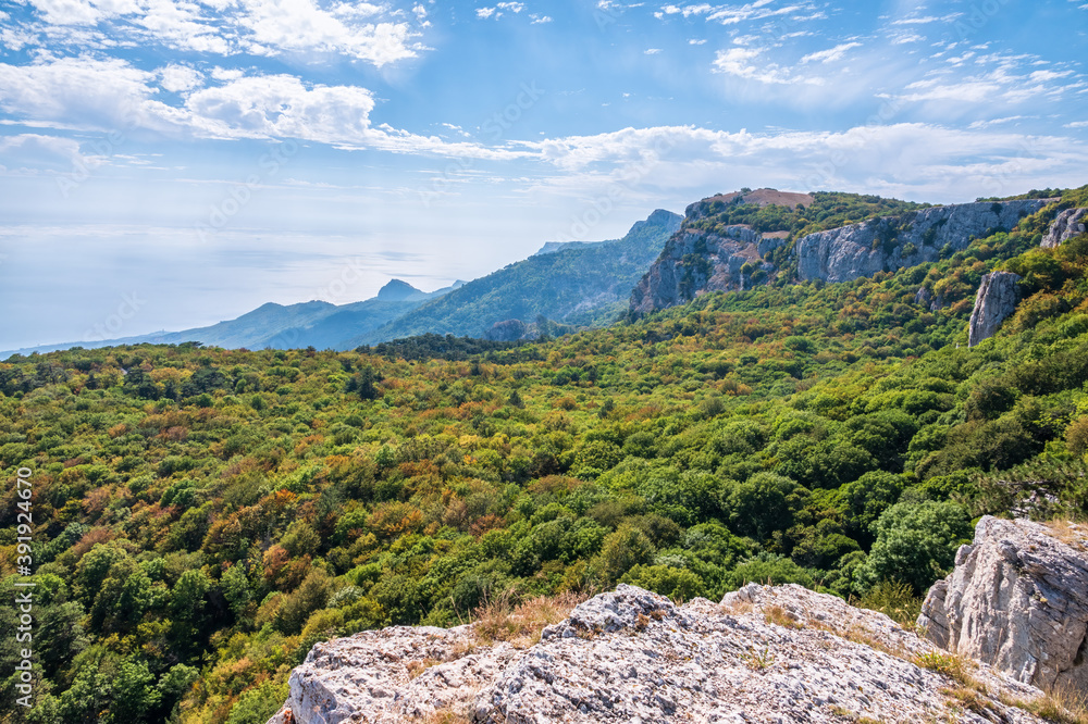 Rocky mountain on sea shore with high green trees on slope