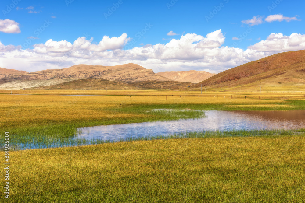 Grassland wetland scenery under blue sky and white clouds