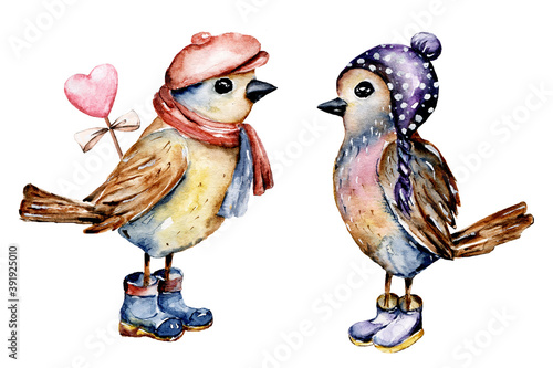 Photography Birds, cartoon picture for baby