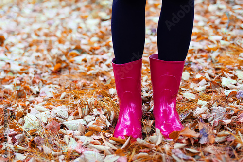 legs with autumn yellow leaves in rubber boots in wet weather