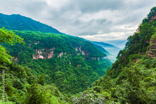 Mountain and forest scenery after rain