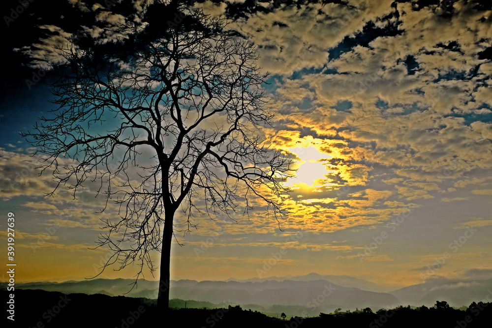 Naklejka premium Beautiful sunrise sky and cloud with silhouette tree at foreground and gorgeous view of the fog moves along the mountains in the mountain range background.