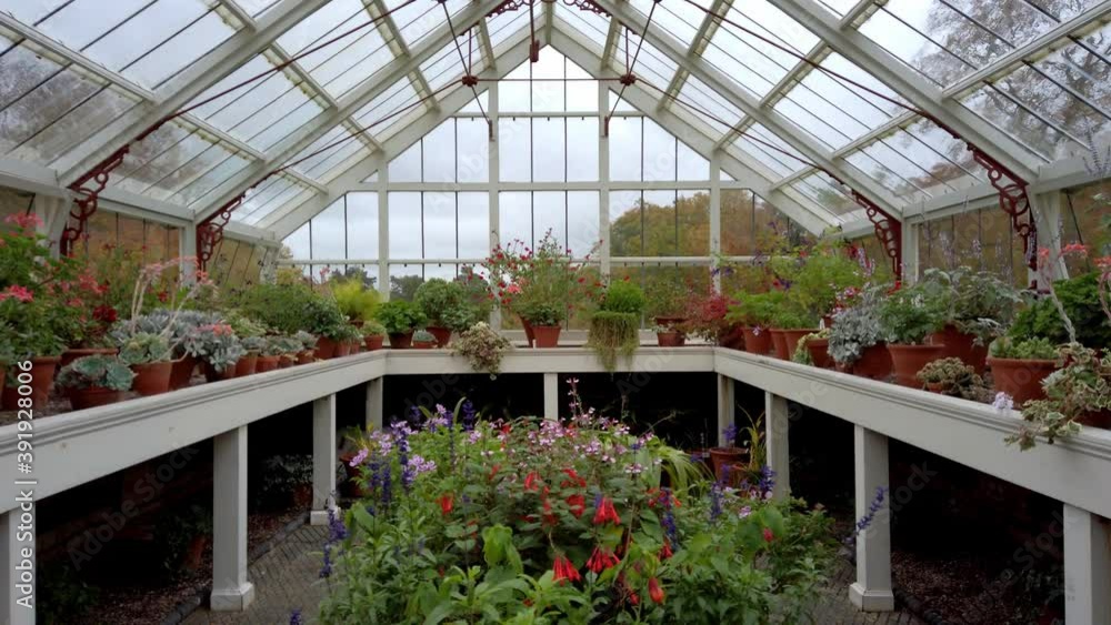 POV shot entering Victorian green house filled with English flowers POV shot entering Victorian green house filled with English flowers