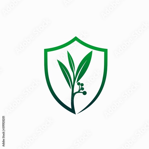 plant icon with shield concept