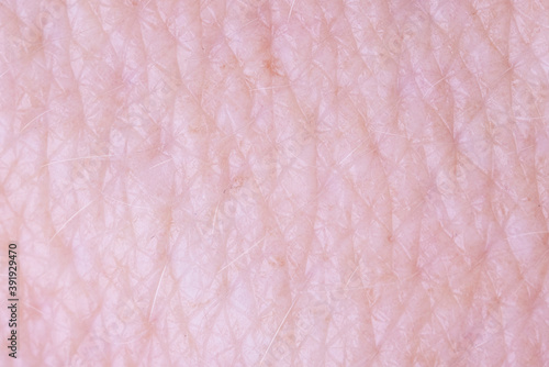 Human skin texture, lines and wrinkles with blonde haird on surface photo