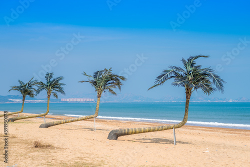 Fototapeta Naklejka Na Ścianę i Meble -  Palm trees on the beach by the sea