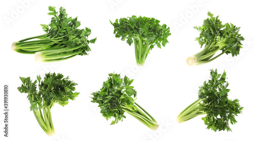 Collage with fresh green celery on white background