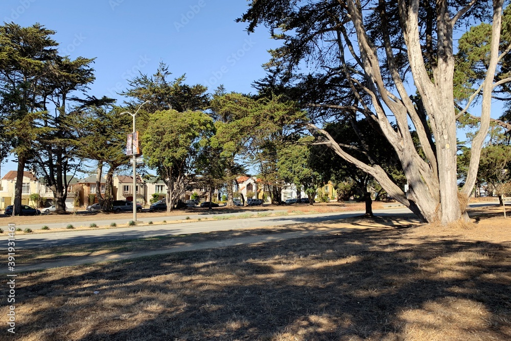 サンフランシスコ・サンセット地区の街並み StockFoto Adobe Stock