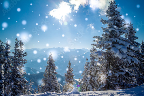 Beautiful snowy winter landscape panorama with mountains, forest and sun. Fir trees covered by snow. Christmas background