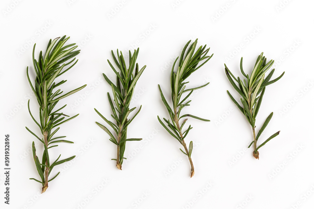 Fototapeta premium Top view Rosemary isolated on white background