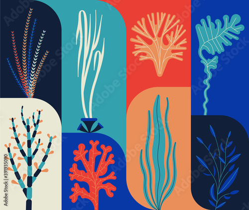 Seaweed set vector illustation. Icon set, colorfull background. Sea plants and aquatic marine algae.