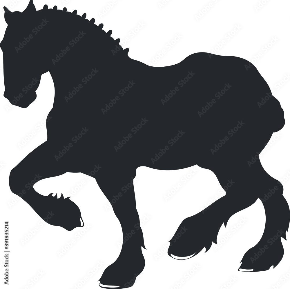 Illustration of horse