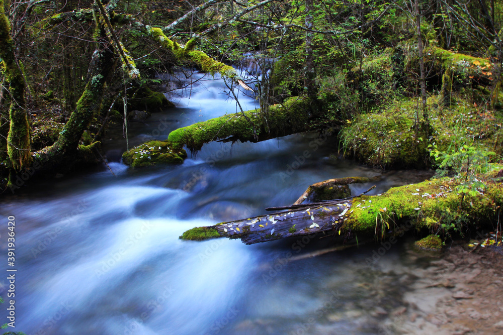 Stream scenery close-up in the forest Stream scenery close-up in the forest