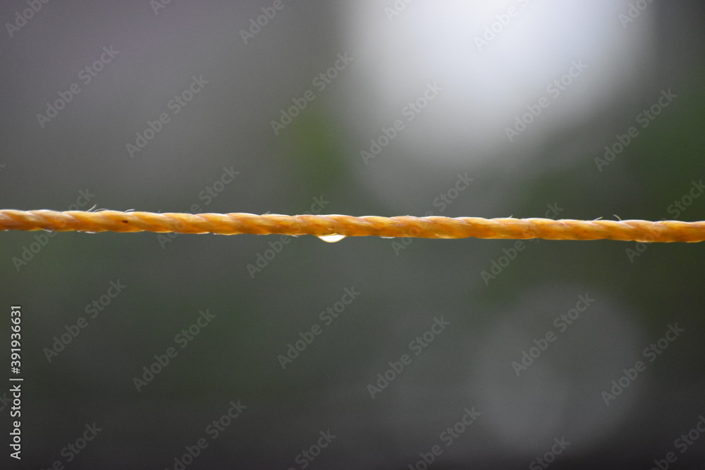 water drops on a rope
