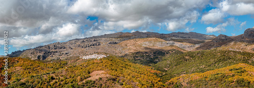 Panoramic view of the mountains of Serrania de Ronda and the chestnut forest in autumn. Trekking route, scenic, around the villages of Parauta, Cartajima and Igualeja in Malaga, Spain © elroce