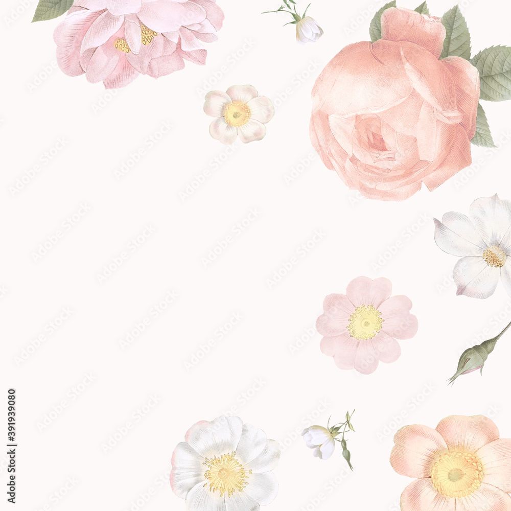 pink rose floral background