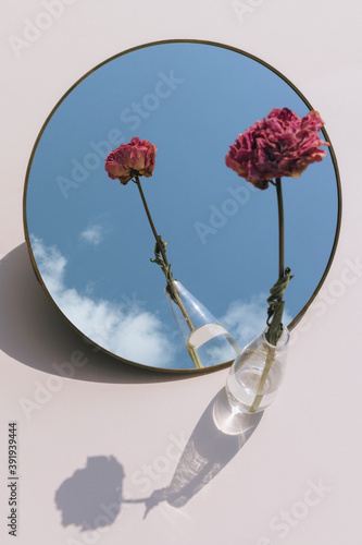Dried pink peony flower in a clear vase reflected on a mirror