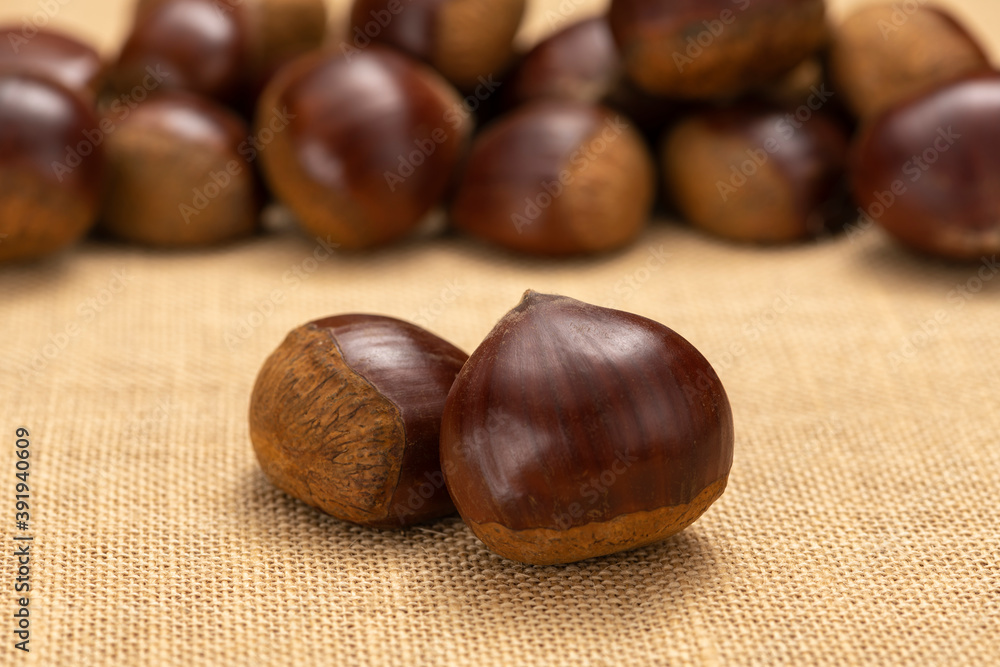 栗【秋の味覚】