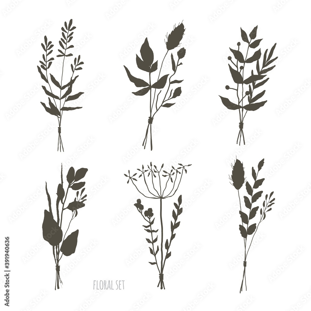 Set of floral elements. Botanical collection. bunches of wild herbs. Flowers, leaves, branches and other natural elements. Set of floral elements. Botanical collection. bunches of wild herbs. Flowers, leaves, branches and other natural elements.