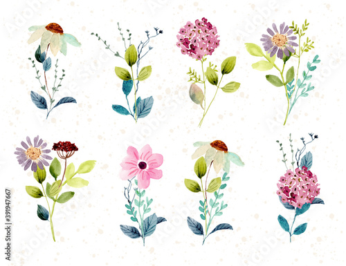 beautiful flower bouquet watercolor collection