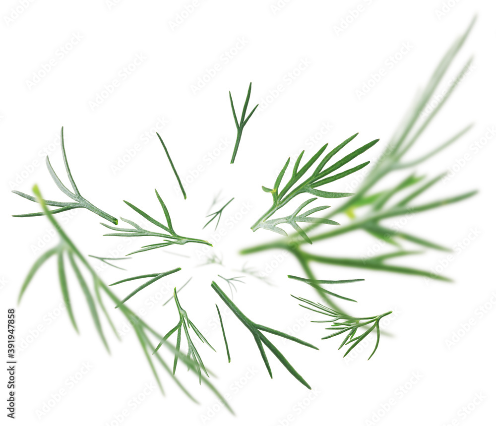 Fototapeta premium Green sprigs of dill levitate on a white background