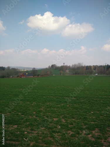 landscape with a field