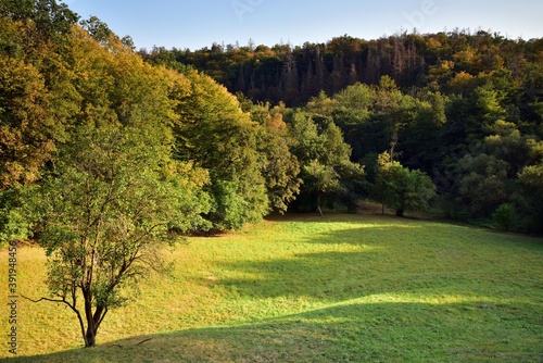 Sunny walk through Radotin Valley, a nature reserve in Czech Karst near Prague, Czech Republic. Water mill called Taslaruv Mlyn is part of this trail.