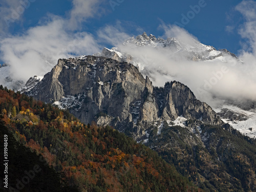 Autumn forest and snowy mountains