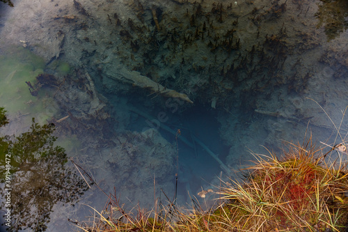 Blue spring lake in Estonia.