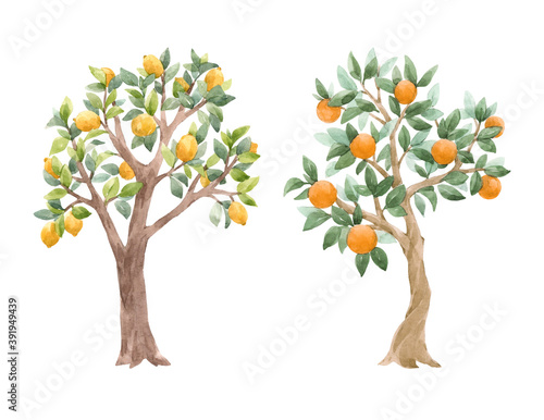 Beautiful set with cute watercolor fruit trees. Stock illustration. © zenina