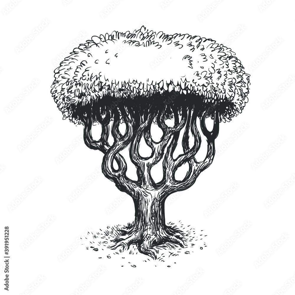 Family tree, sketch hand drawn style. Isolated vector illustration icon ...