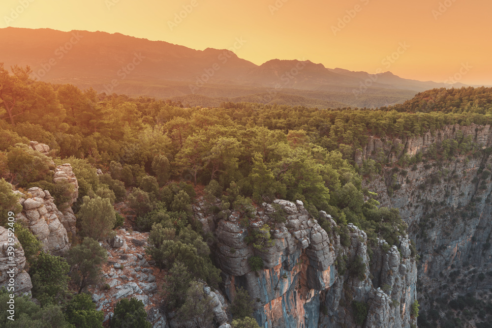 Obraz premium Rocks with a forest break into a deep gorge of the Tazi canyon in Turkey. Great spot for rock climbing and Hiking