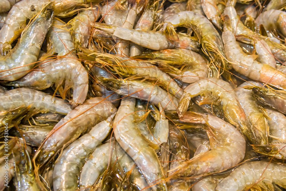 fresh shrimp counter for sale, fish market fresh shrimp counter for sale, fish market