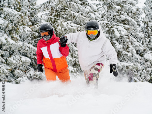 Young couple of tourists playfully falling in snow against adorable spruce forest on background. Vivid colorful suits on white snow. European ski resort in winter