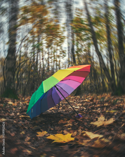 Rainbow umbrella lying on the ground in an autumn park.
