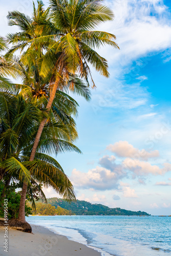 vertical photo  beach on Koh Samui in Thailand  paradise  sunny beach  coconuts and palm trees  sunbathing and swimming in the sea  blue ocean and sky  travel to the resort  relaxation and enjoyment