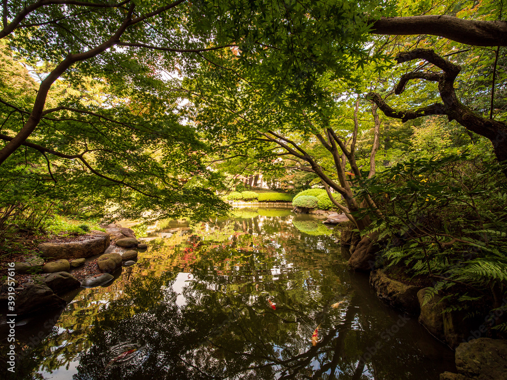 紅葉し始めた木々と日本庭園