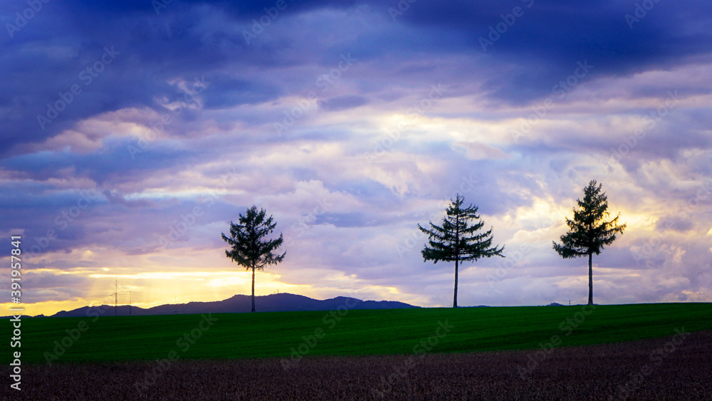 Obraz premium 北海道女満別メルヘンの丘の夕暮れ