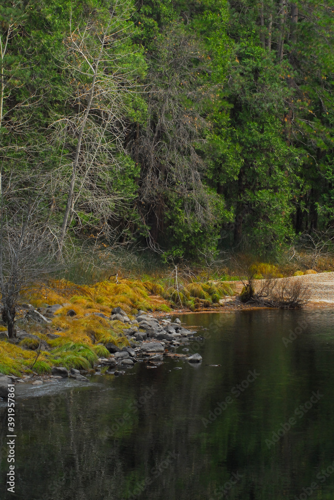 A peaceful stream in California's Sierra Nevada mountains.