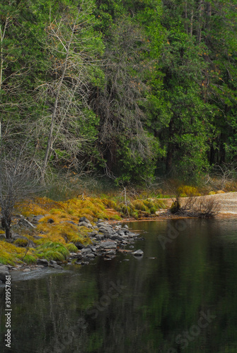 A peaceful stream in California's Sierra Nevada mountains.