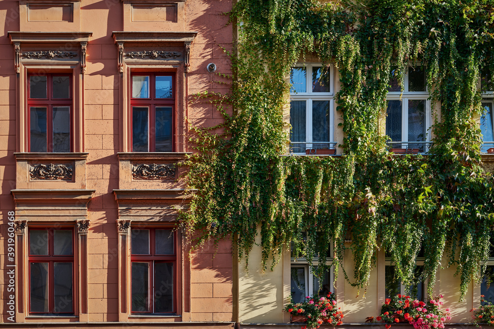 Fototapeta premium Schön renovierte und begrünte Altbaufassaden mit Blumenkästen in Berlin-Kreuzberg im Abendlicht