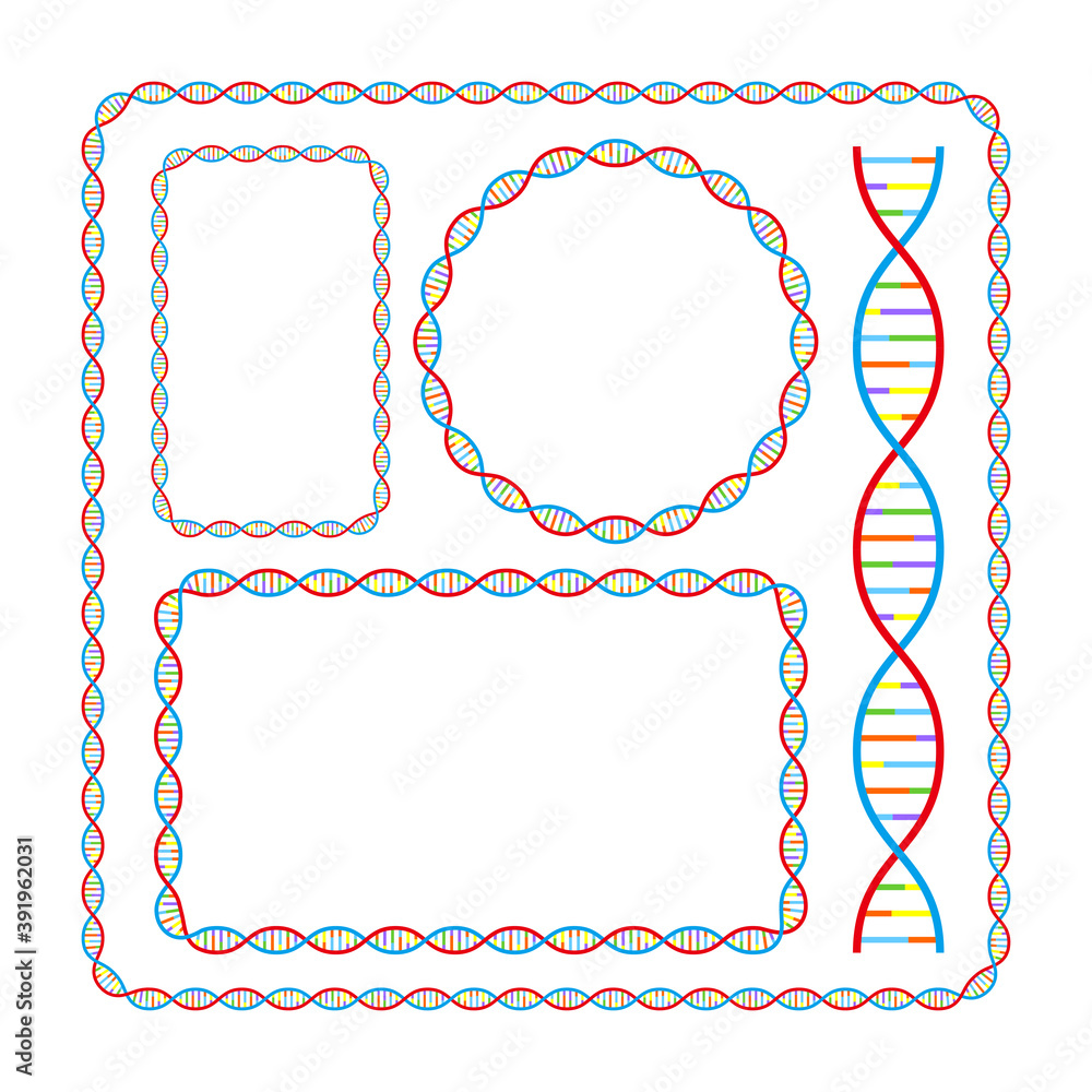 Dna鎖 遺伝子のデザイン フレーム セット ベクター Stock イラスト Adobe Stock