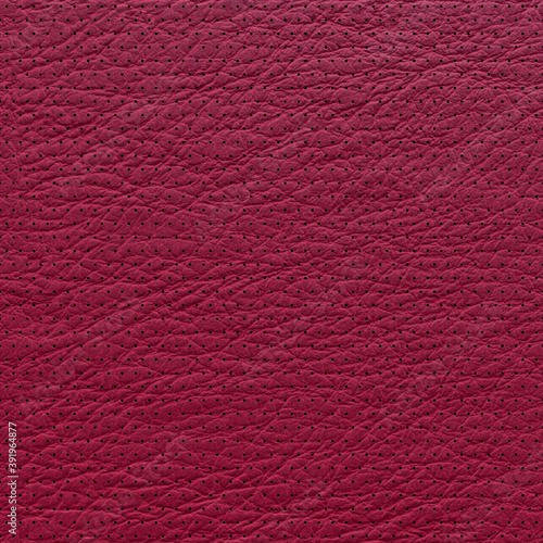 Lamb leather perforated dots. Amaranth leather texture closeup. Useful as background for design-works. 3D-rendering