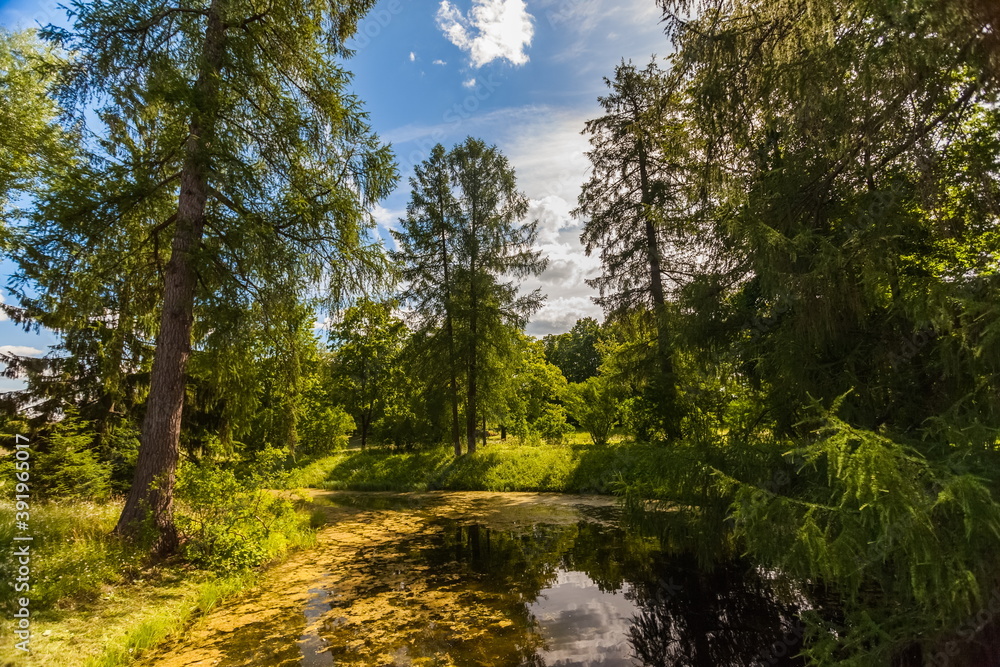 Summer landscape in a city Park with trees, grass, river, sky with clouds Summer landscape in a city Park with trees, grass, river, sky with clouds
