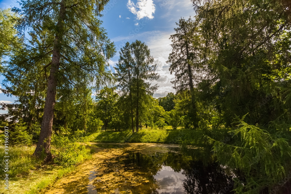 Summer landscape in a city Park with trees, grass, river, sky with clouds